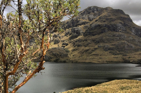Guardians of Nature: What Ecuador’s Legends Teach Us About Sustainability and Style-Pacha Ancestral Design